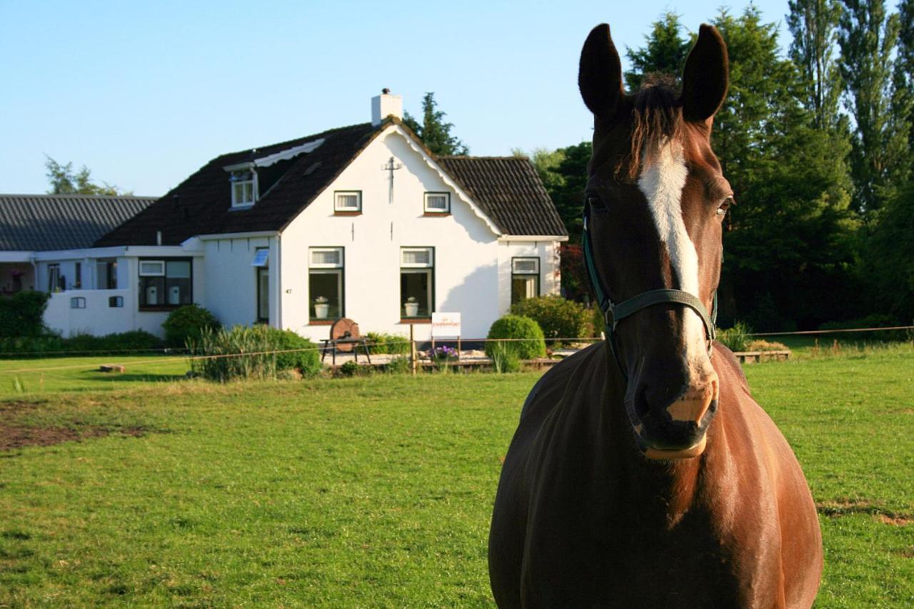 Locatie Het Knooppunt Engelse Chalet Nuis Екстериор снимка